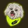 $BRODIE